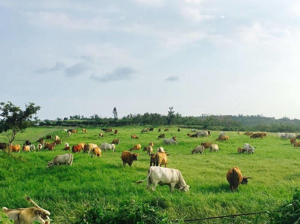 華納小筑 Bed and Breakfast Kenting Buitenkant foto